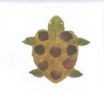 خرید کتاب برگ ها | لک لکو